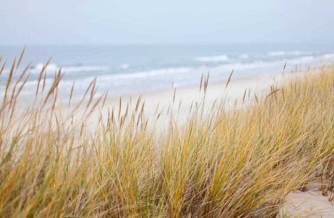 הייליגנהאפן Oase An Der Ostsee Mit 2 Schlafzimmern מראה חיצוני תמונה